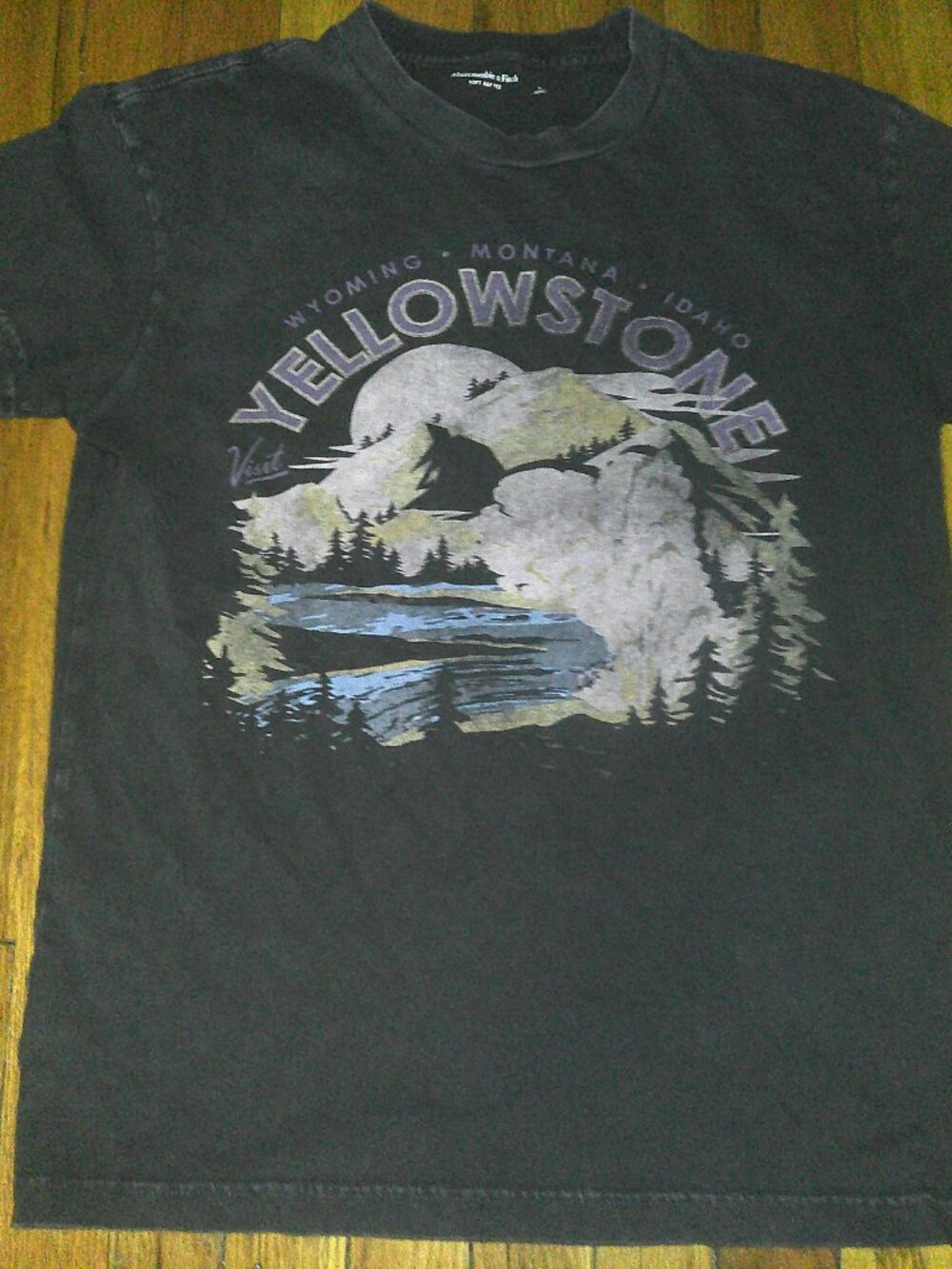 Abercrombie & Fitch Yellowstone Graphic Tee Mens Small